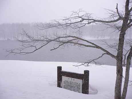 吹雪の中の、大正池　　　05.3.18の画像
