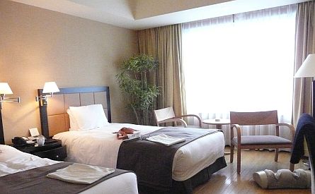 高級ホテルに、一人で泊まる　　　札幌の夜の画像