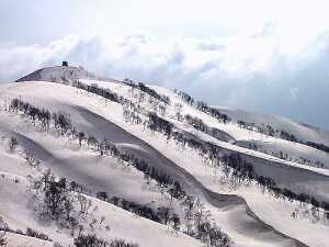 これは、昨年の白鳥山　　　　02.3.31       photo by shun