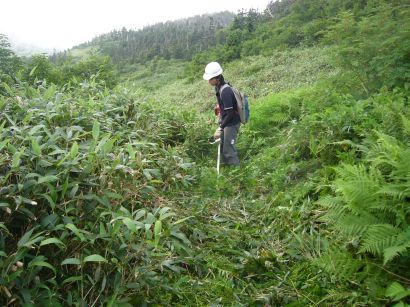 よっしー、草刈り作業中　　　05.8.17　　の画像