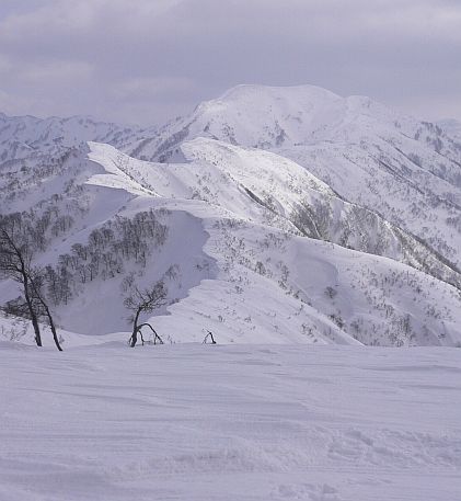 大地山頂から望む、初雪山　　　06.1.31の画像