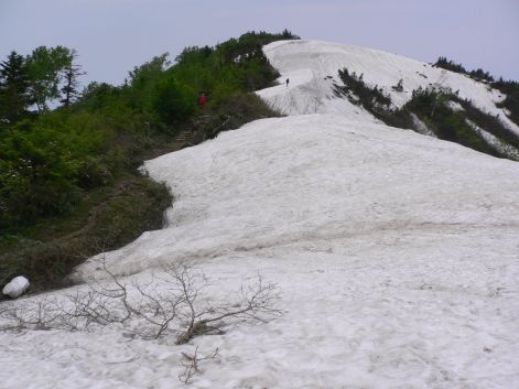 「馬の背」を下りて、恵振山山頂を目指す　　　06.6.20の画像