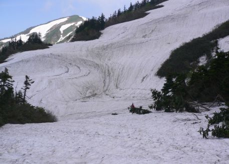 水平道の様子　　左奥に見えるのは、前朝日岳　　の画像