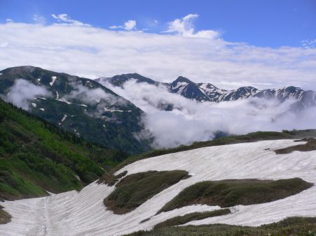 恋しくて、愛しくて…そんな気持ちで眺めた山並み　　06.7.19　　の画像