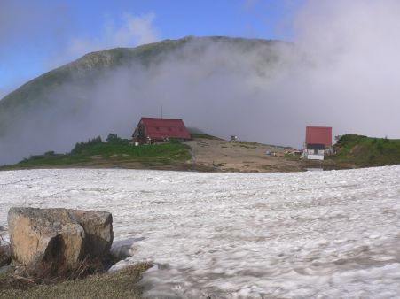 私が撮った写真　　雪の上を歩いて行きました！　　　06.7.19の画像