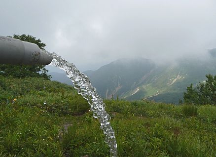 小屋の、大事な大事な「水タンク」から　　07.8.11の画像