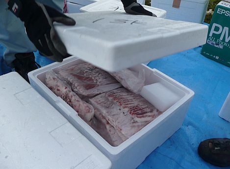 凍った豚肉の中に、ドライアイスを足す作業　　　北又へリポートにて　　08.7.12の画像