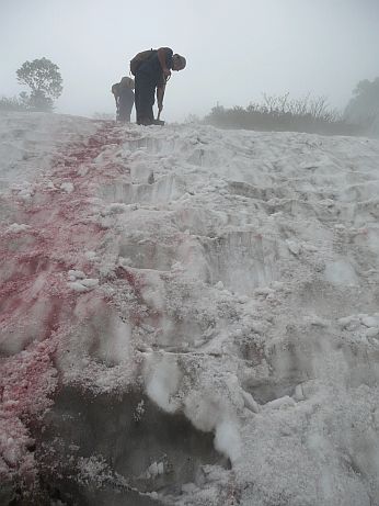 歩き易いように、雪の急斜面にステップを切るの画像