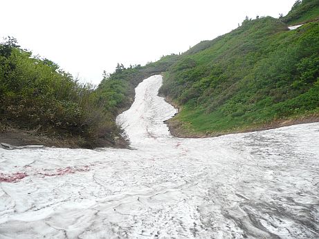 今日の、水平道の画像