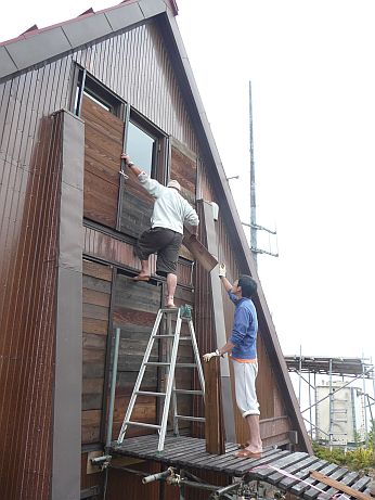 冬囲いをし、しっかり台風に備えたはず…　　　08.9.18の画像