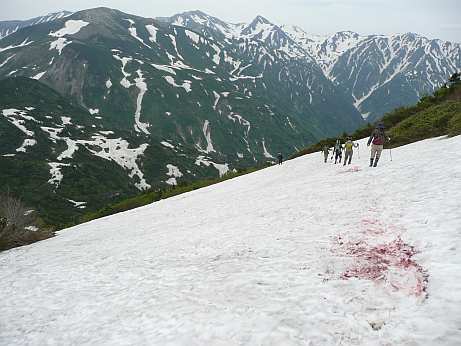 朝日岳山頂から水平道分岐に向けて 雪倉岳・白馬岳を見ながら 09.6.29 写真
