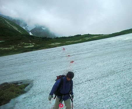 夏山事前パトロールで ベンガラを撒く、朝日岳方面遭対協・F隊員 09.7.11 写真